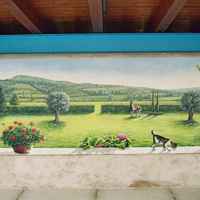 pannello dipinto applicato su parete sottoportico villa privata Illasi (VR)
